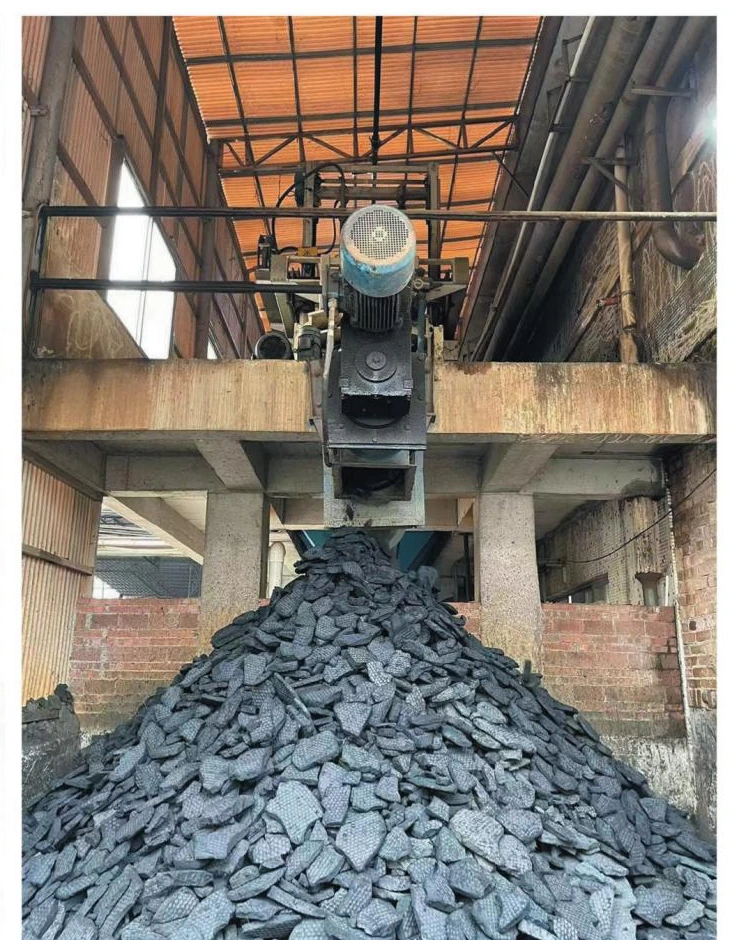 Sludge treatment cake discharge